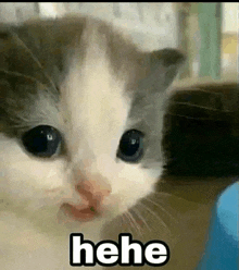 heheheha.gif