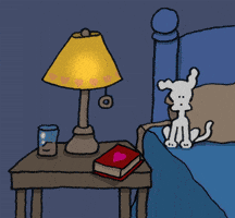 I Love You Night GIF by Chippy the Dog