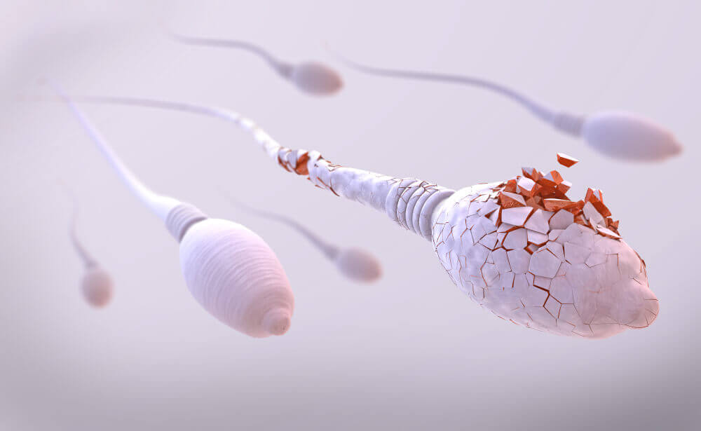 sperm.jpg