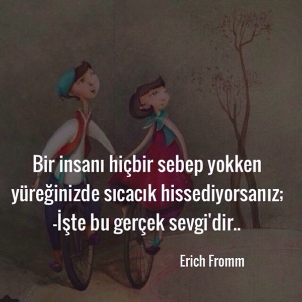 951b941b9115a128fc6226fa7c0ef9fa.jpg