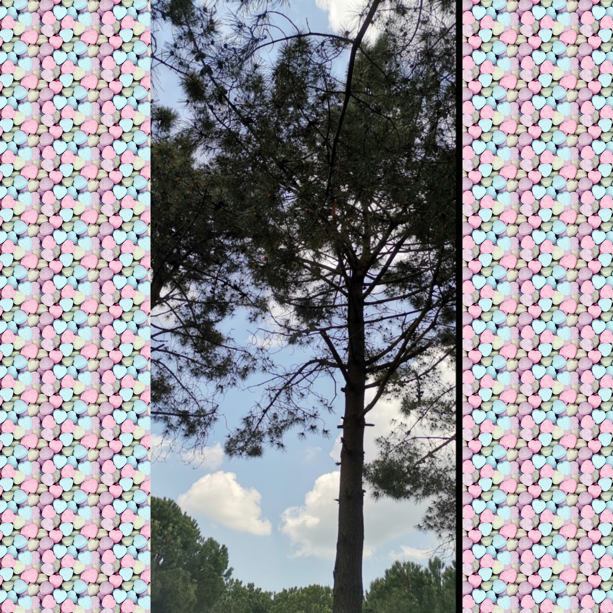1682957023175.jpg