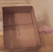 peace out lol GIF by America's Funniest Home Videos
