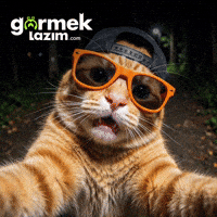 Funny Cat GIF by Görmek Lazım