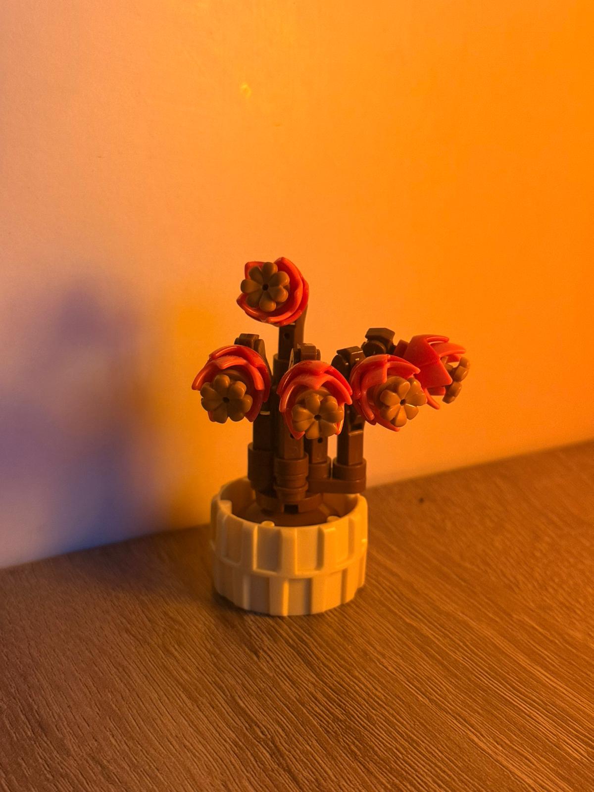 rose.jpg