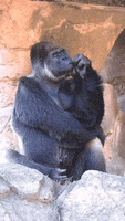 Bone Eray GIF by Yeşil Armut Kafe