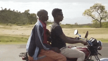 200.gif