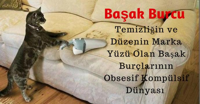3736736b-3d20-4bc2-a54d-23710626699c.jpg