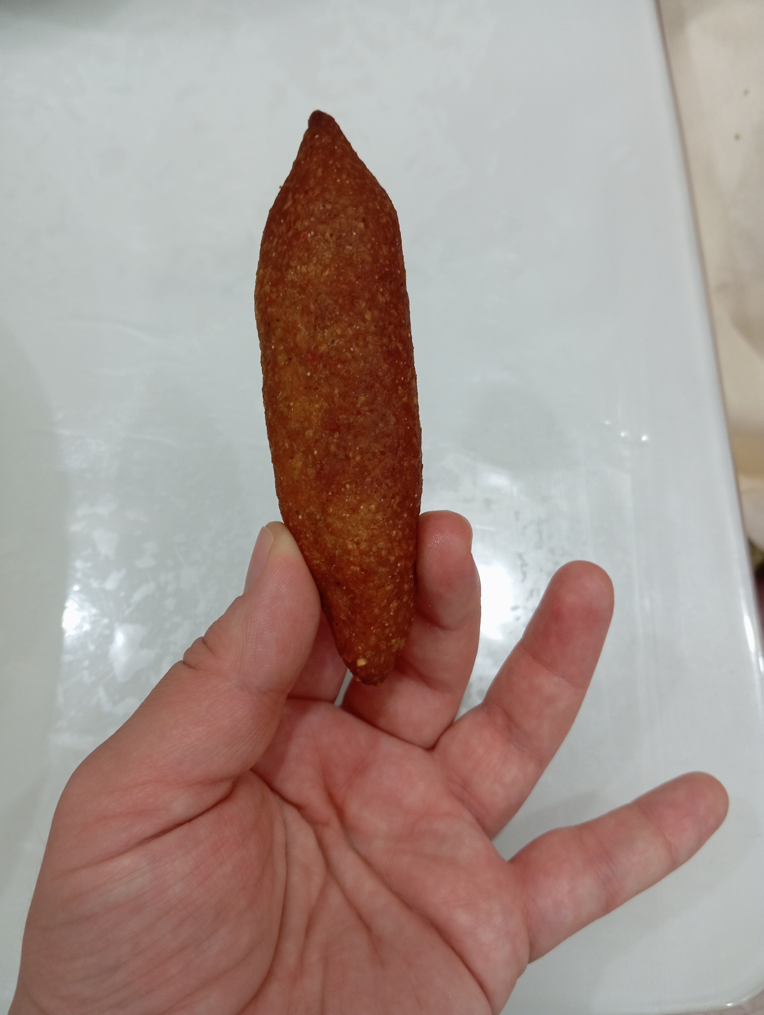 1000050167.jpg