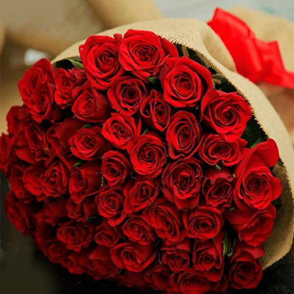 red_rose_of_love.jpg