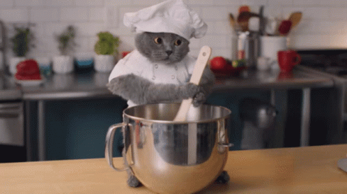 chefcat-cat-chef.gif