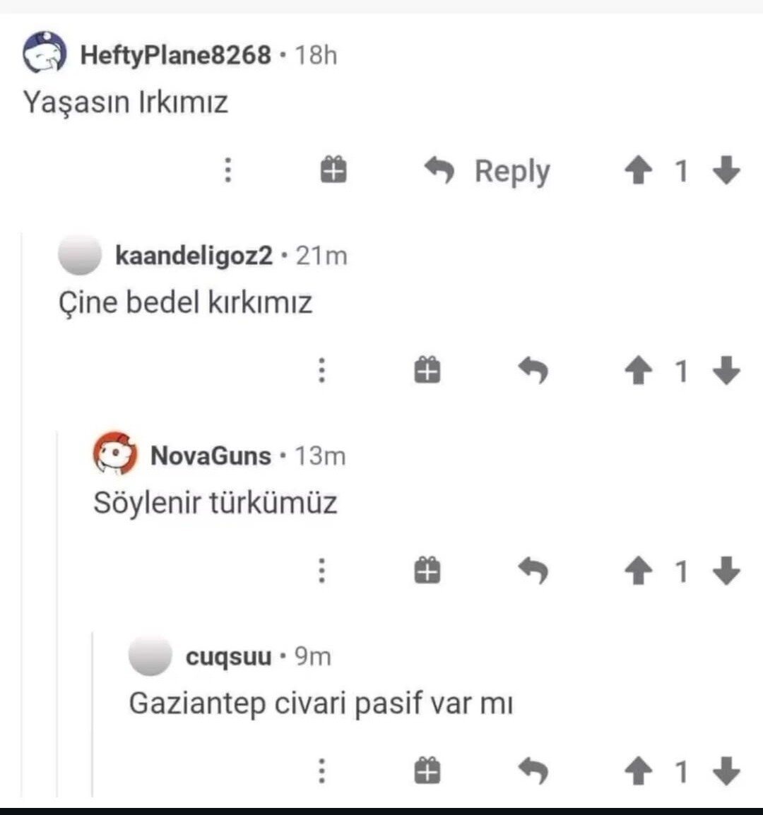 255197725.jpg