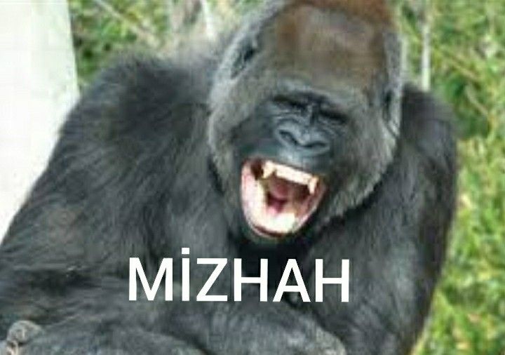 Mizhah | Maymun, Retro mizah, Maymunlar
