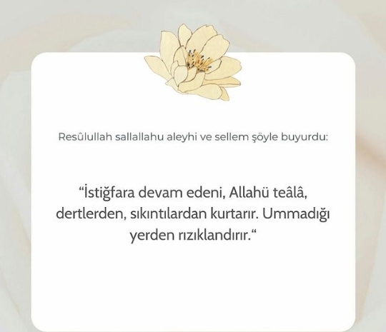 Screenshot_20241127-175835-1.jpg