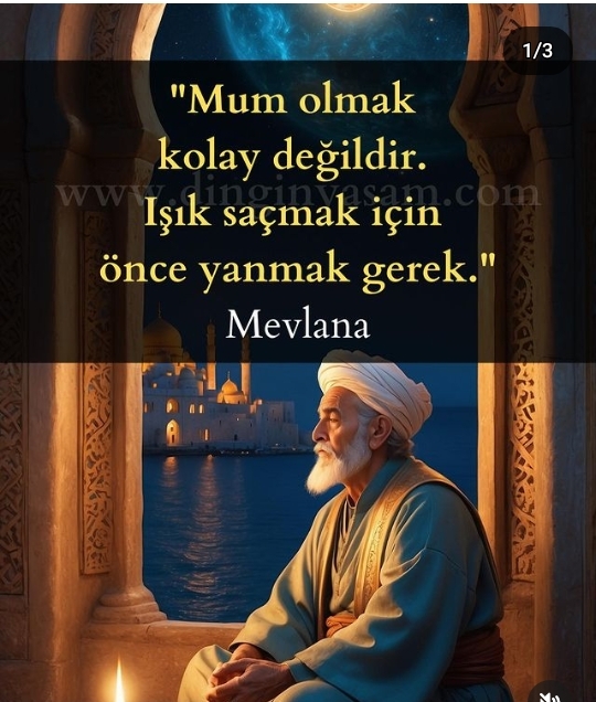 Screenshot_20240925-213249-1.jpg