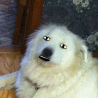 Cute GIF by Meditative Raisin