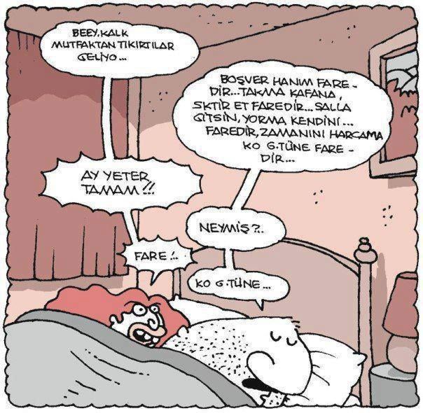 Ko götüne faredir. | Karikatür, Komik, Komik şeyler