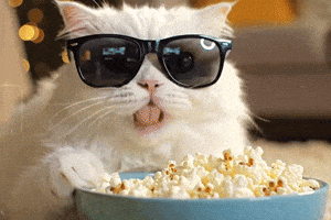 Locked In Popcorn GIF