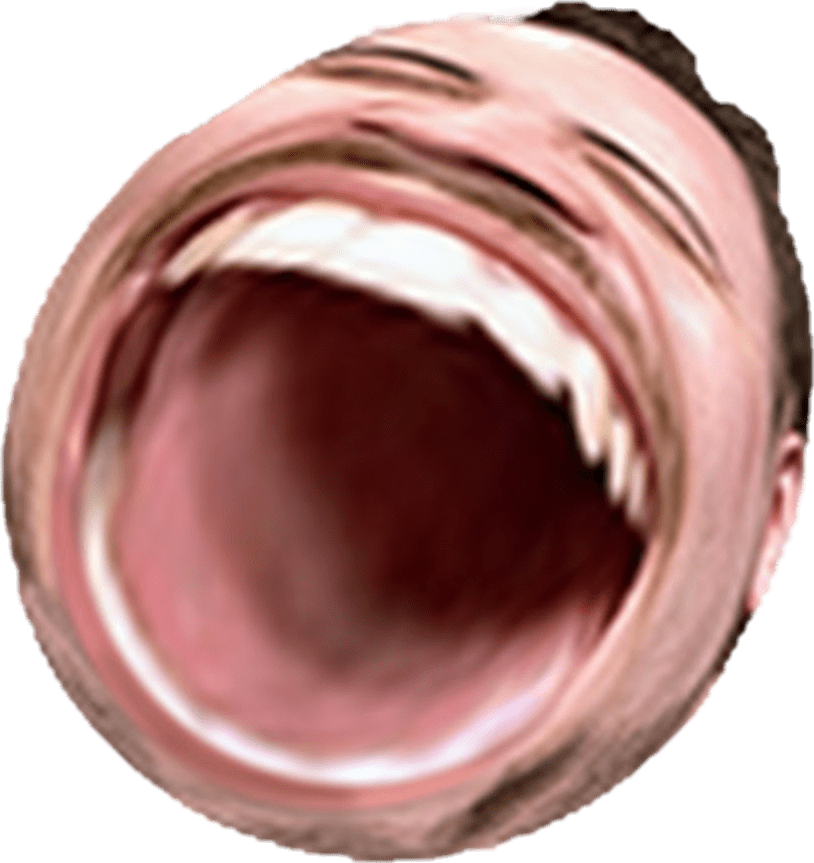 image03464beeb6c69286.png