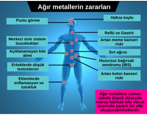 Sağlığınızı Tehdit Eden 5 Ağır Metal: Cıva, Kurşun, Alüminyum, Kadminyum, Arsenik