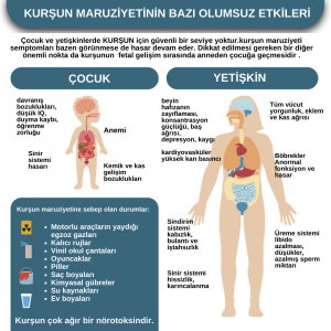 Sağlığınızı Tehdit Eden 5 Ağır Metal: Cıva, Kurşun, Alüminyum, Kadminyum, Arsenik