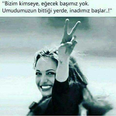 indirb7e0b35d61ccb621.jpg