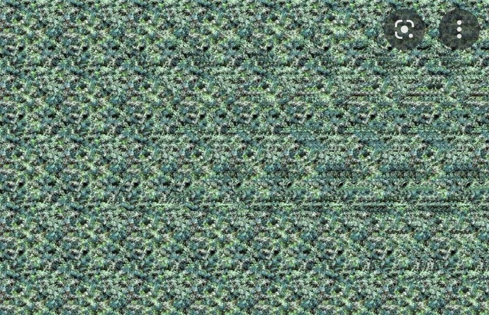9a509bb5-95ec-48b4-80c0-93e32da07111.jpg