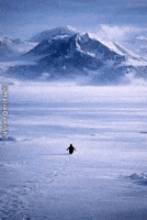The Mountains Are Calling Human Spirit GIF