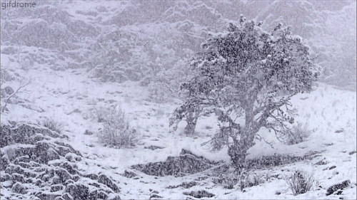 c0121daa87902a37924dbc3961dba0de.gif