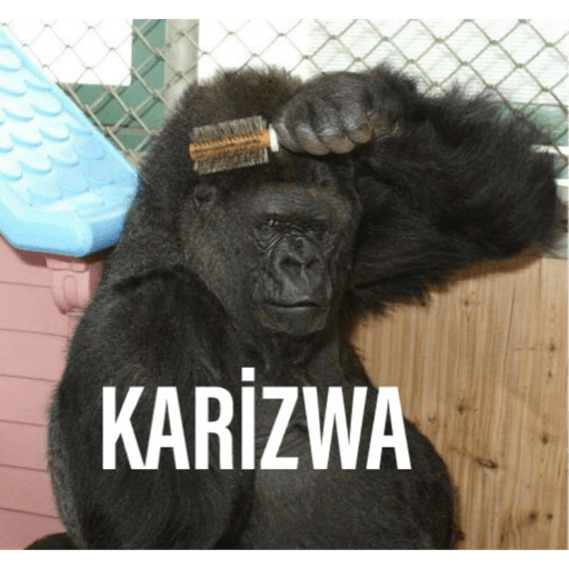 gorilla | Maymunlar, Retro mizah, Eğlenceli videolar