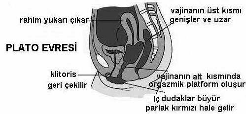 986479_0c6cef15c2634514af70a4146e70c466~mv2.jpg