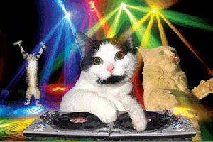 Party Reaction GIF