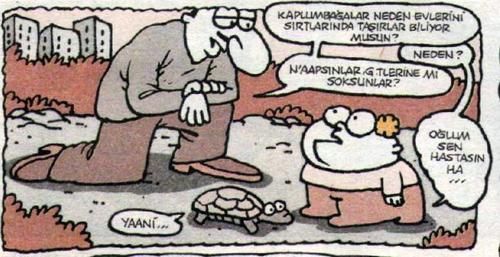 Kaplumbağalar neden evlerini sırtlarında taşırlar hastasın sen karikatür –  Artofit