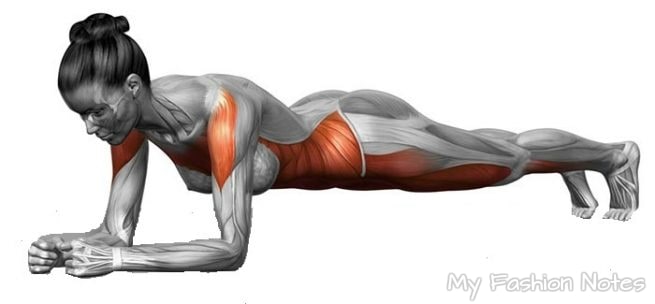 PLANK-HAREKETI.jpg