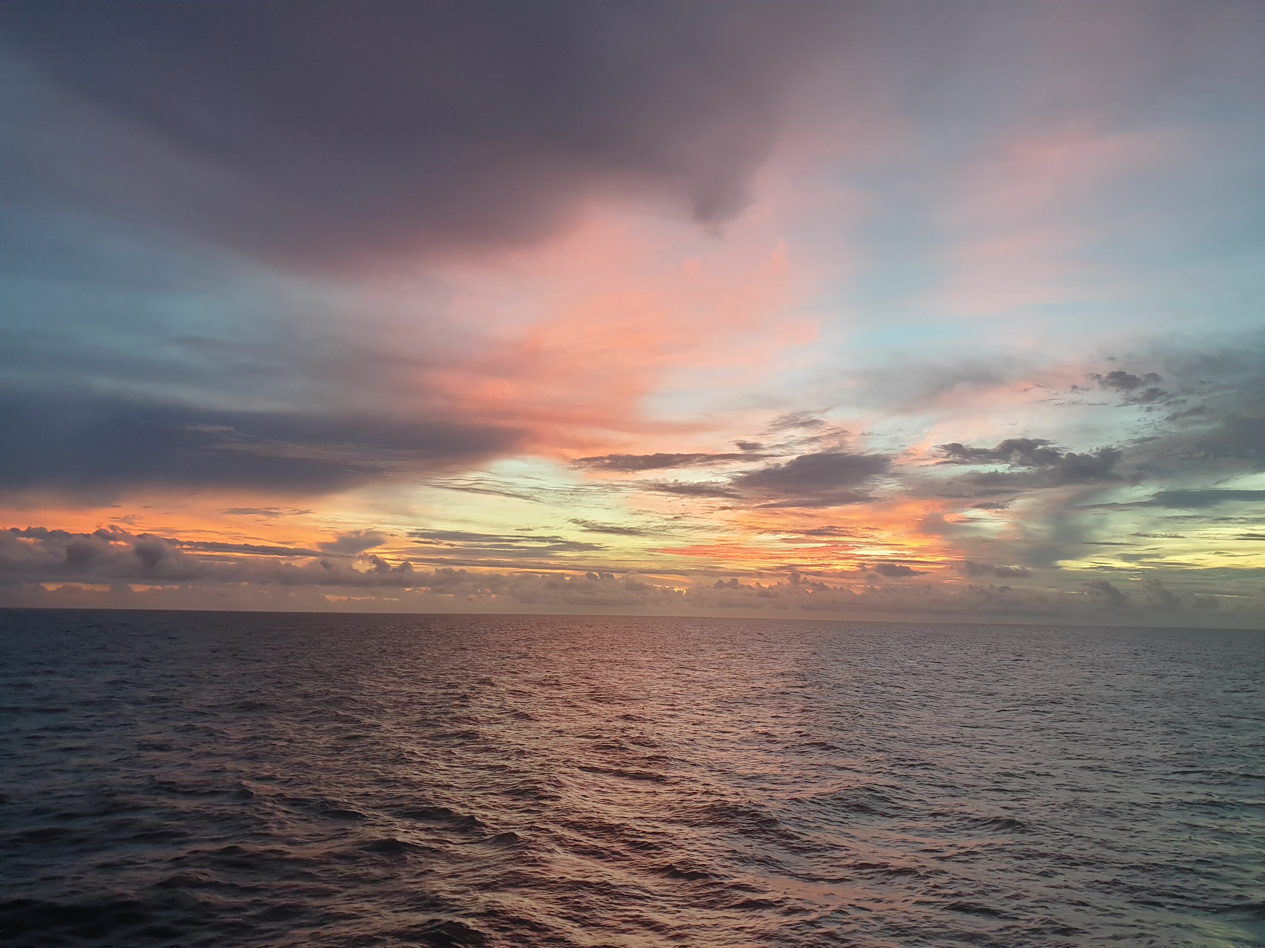 20220122_183902.jpg
