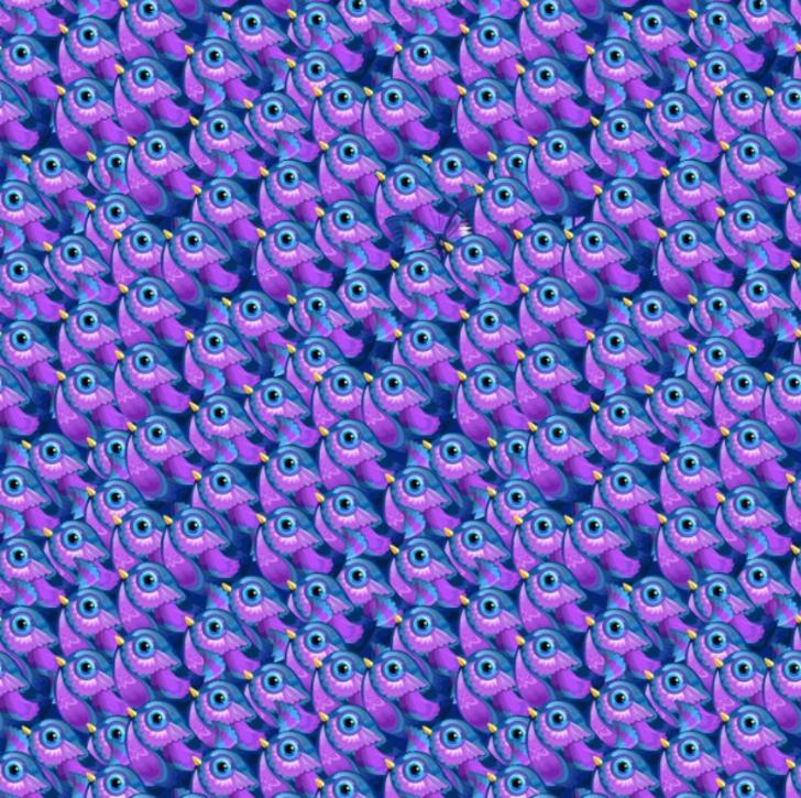 13214916-728xauto.png