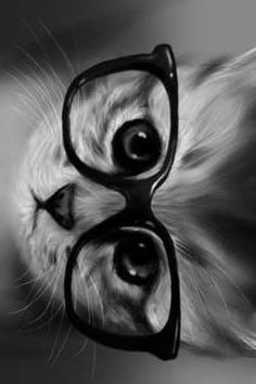 32E20C21-1756-4F23-BEA8-9E8440FDEA0C.jpg