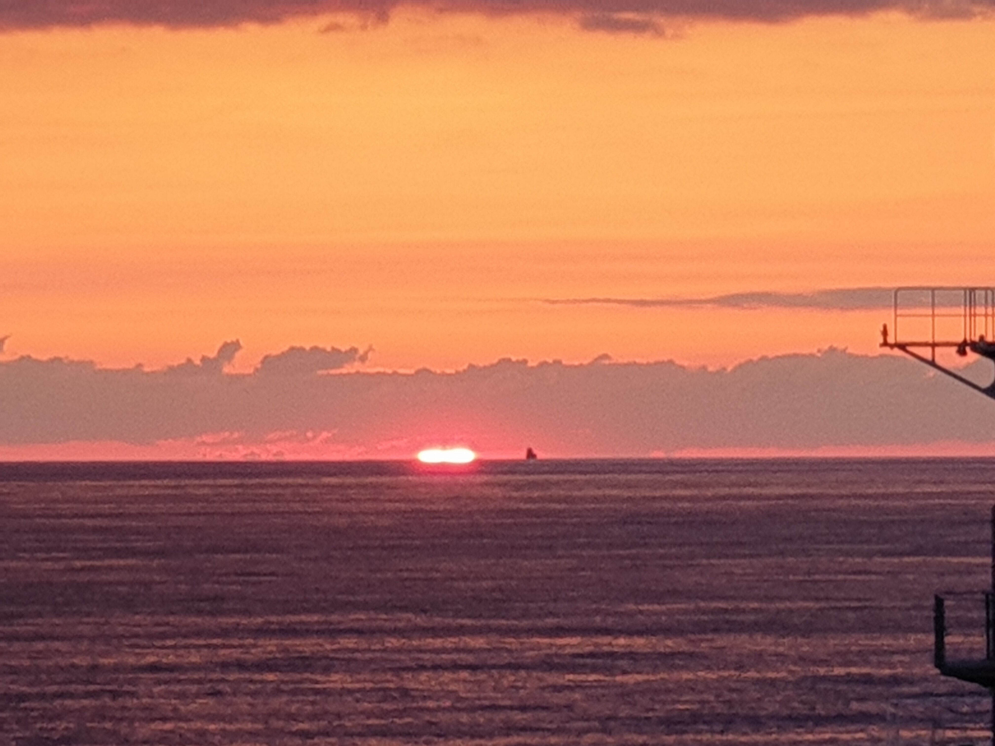 20210328_054924.jpg