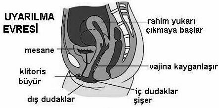 986479_d03d3cfa29fa471a907ee0563e0c257c~mv2.jpg