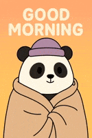 Good Morning GIF by Pandu Pandas