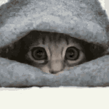 no-sleep.gif