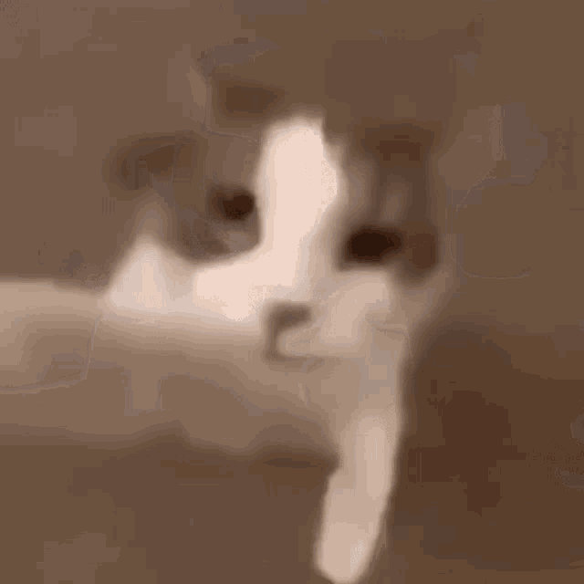dcdd45bc02f89241babe4ab61ce69f01.gif