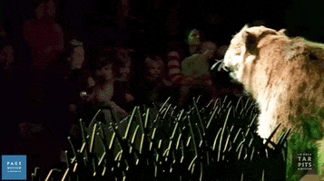 200.gif