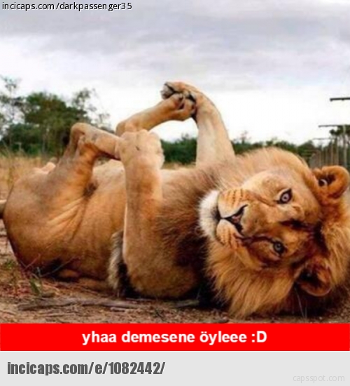 aslan-burcu-erkegi_1501073.png