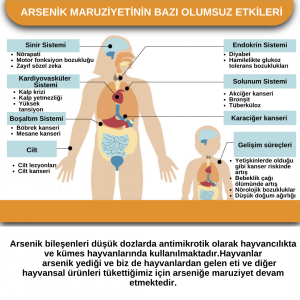 Sağlığınızı Tehdit Eden 5 Ağır Metal: Cıva, Kurşun, Alüminyum, Kadminyum, Arsenik