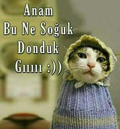 282A551B-5CD1-4F90-866E-3CE929EA3124.jpg