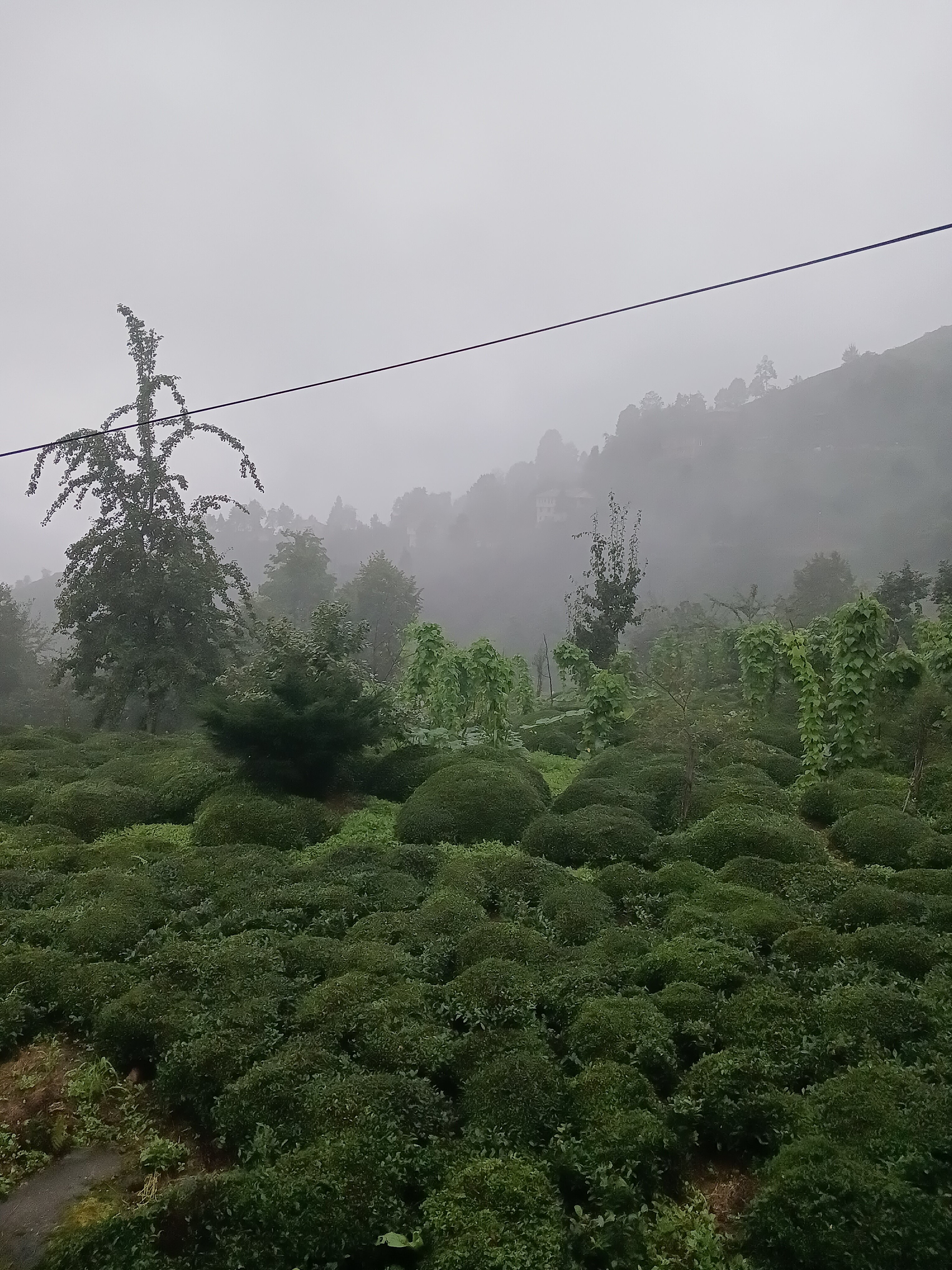 20230825_060420.jpg