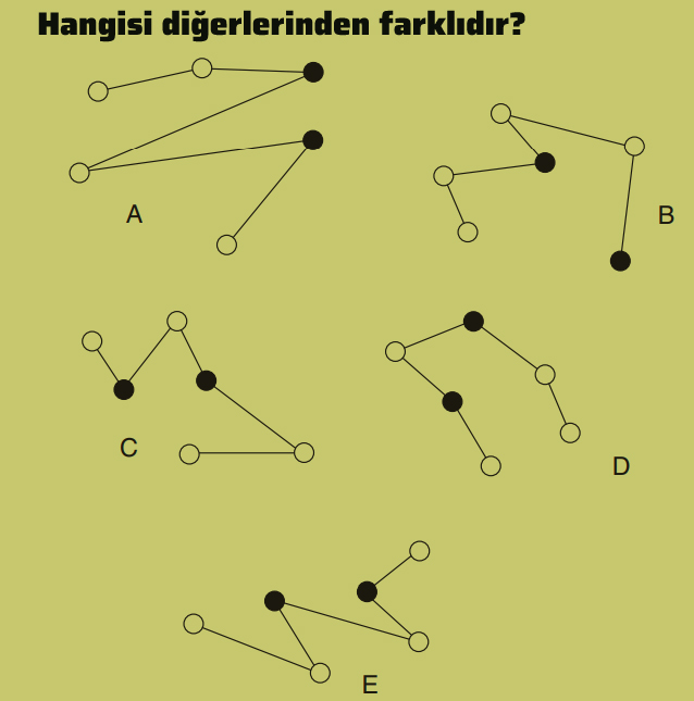 q_33965d357ae58e362286023575615ac6.jpg