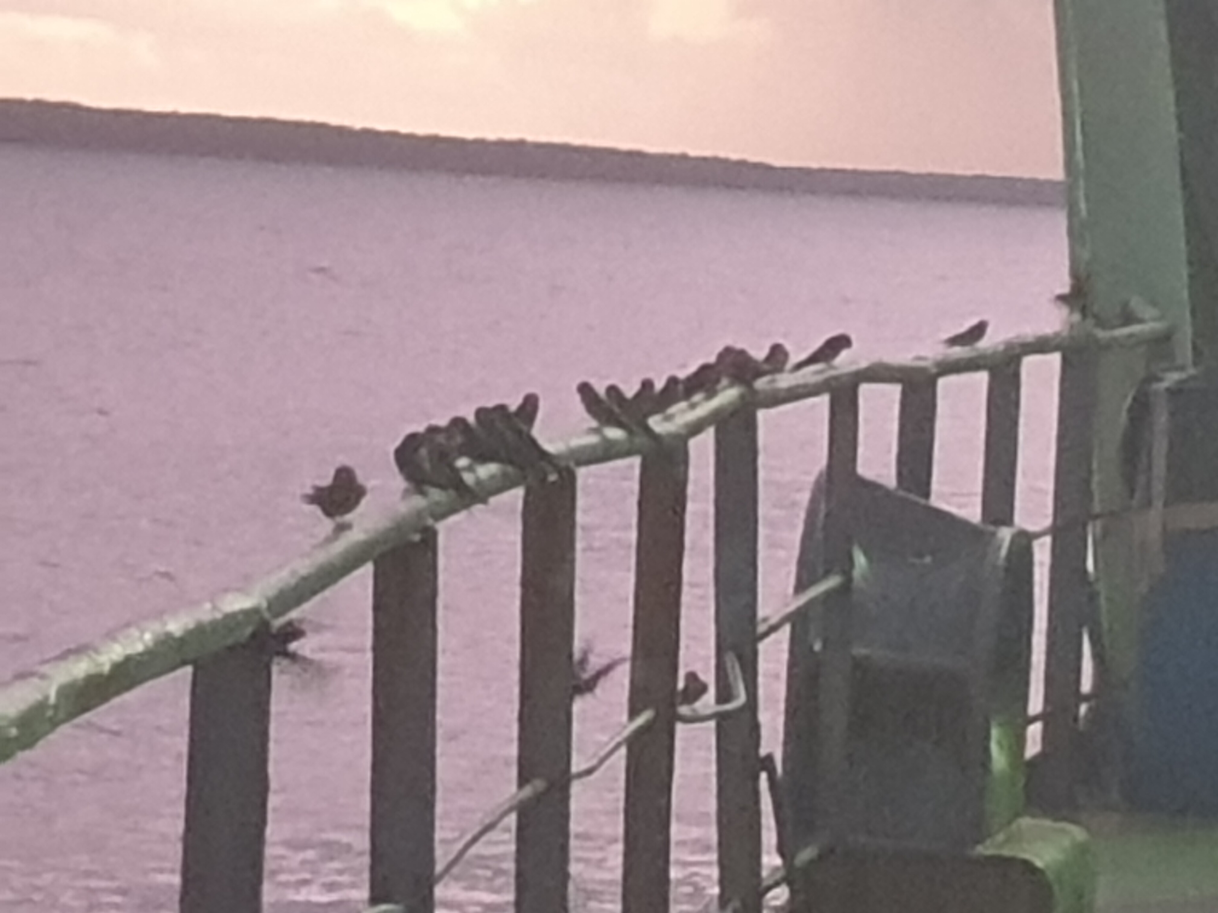 20220120_050539.jpg
