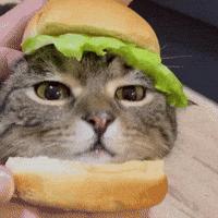 200.gif