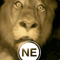 Ne GIF